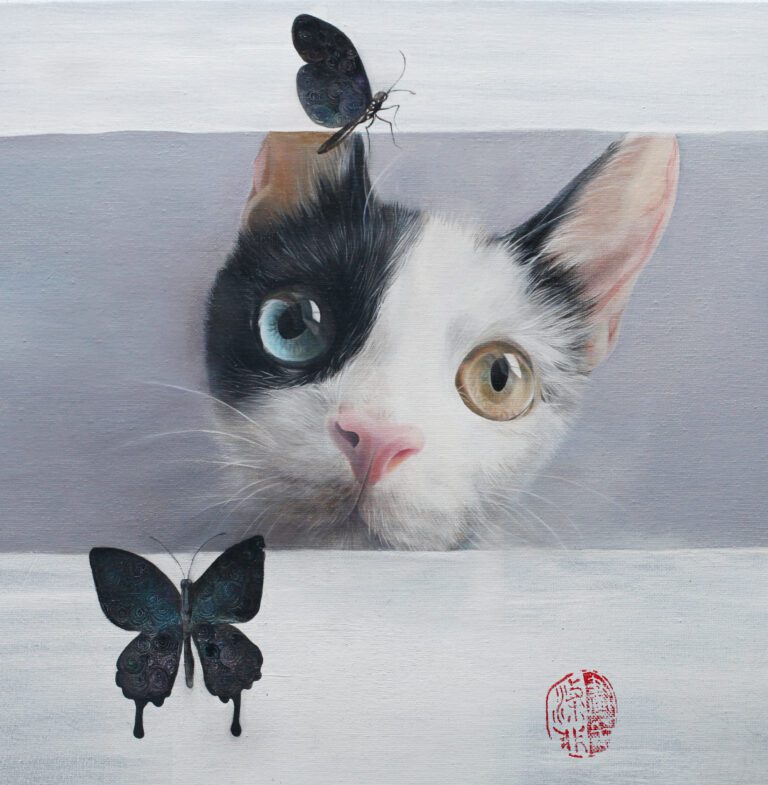 猫与蝶 Cat and Plate