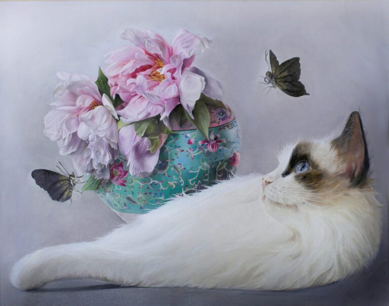 猫和花 Cat and Flowers