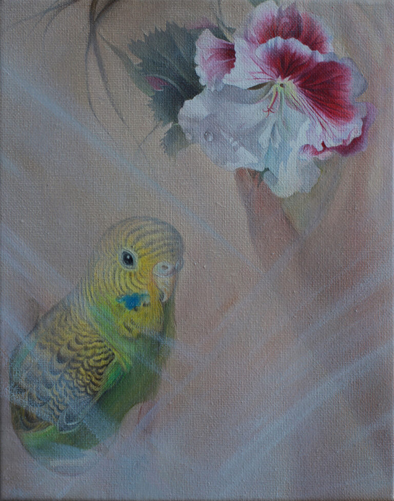鹦鹉与花 Parrot and Flowers