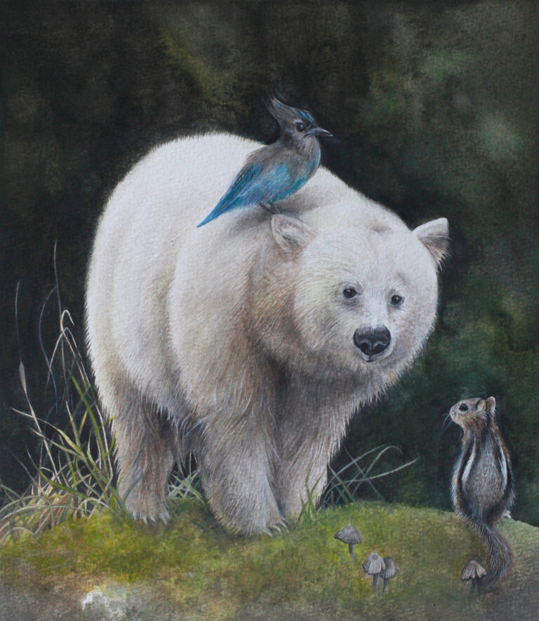 科莫多熊和他的朋友  Kermode Bear and his friends