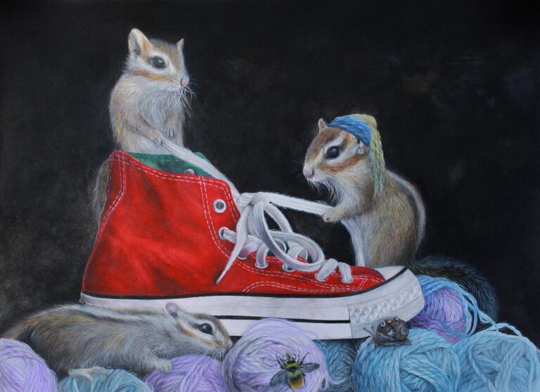鞋履奇缘  The Adventures of Shoes